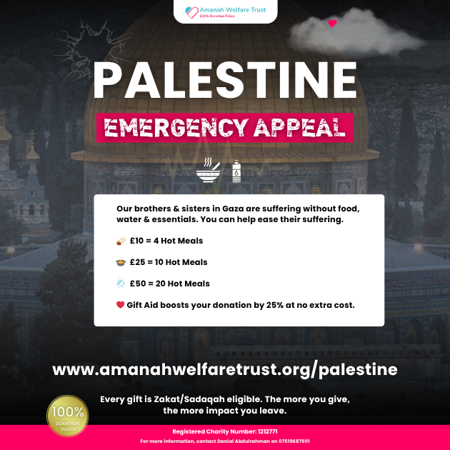 AWT - Palestine - SEO Feture Image Size (3) Palestine Appeal