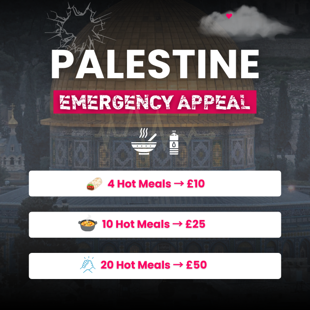 PMM Version Palestine Appeal